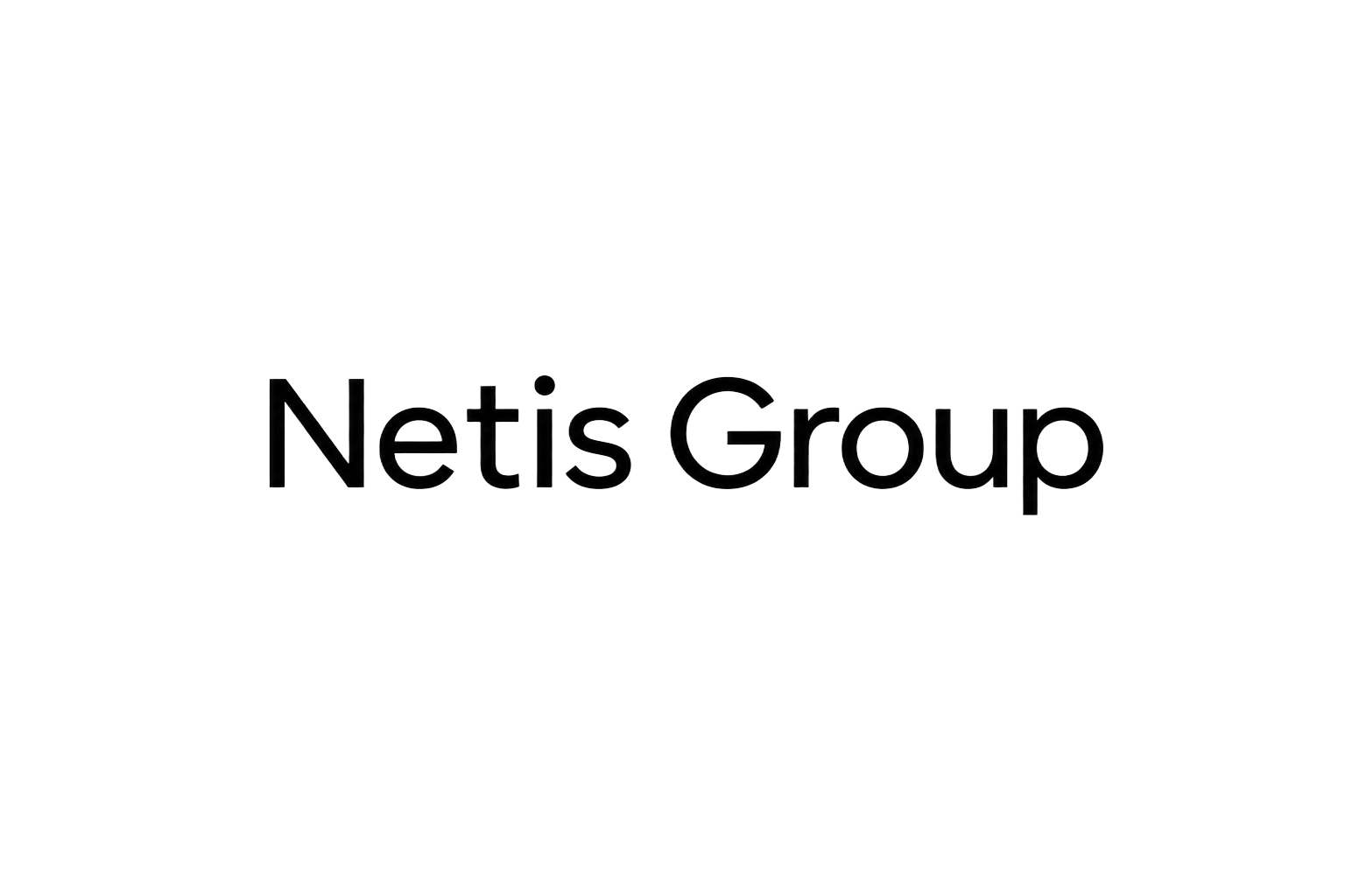 Netis Group logo